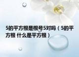 5的平方根是根号5对吗（5的平方根 什么是平方根）