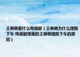 王萌萌是什么电视剧（王萌萌为什么提前下车 电视剧里面的王萌萌提前下车的原因）