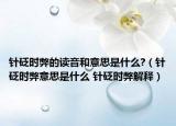 针砭时弊的读音和意思是什么?（针砭时弊意思是什么 针砭时弊解释）