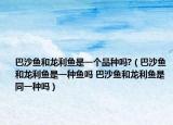 巴沙鱼和龙利鱼是一个品种吗?（巴沙鱼和龙利鱼是一种鱼吗 巴沙鱼和龙利鱼是同一种吗）