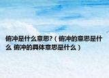 俯冲是什么意思?（俯冲的意思是什么 俯冲的具体意思是什么）