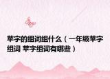 苹字的组词组什么（一年级苹字组词 苹字组词有哪些）
