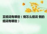 宣组词有哪些（侧怎么组词 侧的组词有哪些）