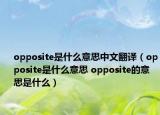 opposite是什么意思中文翻译（opposite是什么意思 opposite的意思是什么）
