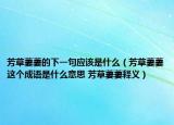 芳草萋萋的下一句应该是什么（芳草萋萋这个成语是什么意思 芳草萋萋释义）