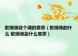 软绵绵这个词的意思（软绵绵的什么 软绵绵是什么意思）
