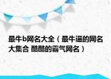 最牛b网名大全（最牛逼的网名大集合 酷酷的霸气网名）