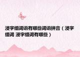 浸字组词语有哪些词语拼音（浸字组词 浸字组词有哪些）