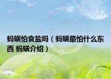 蚂蟥怕食盐吗（蚂蟥最怕什么东西 蚂蟥介绍）