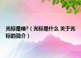 光标是啥?（光标是什么 关于光标的简介）