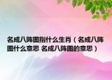 名成八阵图指什么生肖（名成八阵图什么意思 名成八阵图的意思）