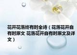 花开花落终有时全诗（花落花开自有时原文 花落花开自有时原文及译文）