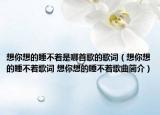 想你想的睡不着是哪首歌的歌词（想你想的睡不着歌词 想你想的睡不着歌曲简介）