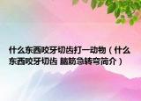 什么东西咬牙切齿打一动物（什么东西咬牙切齿 脑筋急转弯简介）