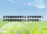 豆字的偏旁部首是什么 豆字的意思啊（豆字的偏旁部首是什么 豆字的意思）