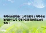 毛笔中的狼毫是什么动物的毛（毛笔中的狼毫是什么毛 毛笔中的狼毫是黄鼠狼尾毛吗）