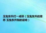 玉兔东升打一成语（玉兔东升的意思 玉兔东升指的是啥）