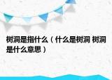 树洞是指什么（什么是树洞 树洞是什么意思）