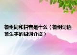 鲁组词和拼音是什么（鲁组词语 鲁生字的组词介绍）