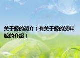 关于鲸的简介（有关于鲸的资料 鲸的介绍）