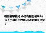 相册名字独特 小清新相册名字叫什么（相册名字独特 小清新相册名字）