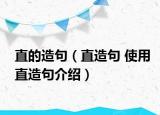 直的造句（直造句 使用直造句介绍）