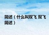 简述（什么叫双飞 双飞简述）