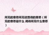 所见的意思所见这首诗的意思（所见的意思是什么 词语所见什么意思）