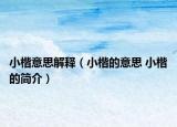 小楷意思解释（小楷的意思 小楷的简介）