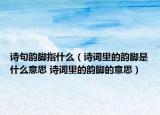 诗句韵脚指什么（诗词里的韵脚是什么意思 诗词里的韵脚的意思）