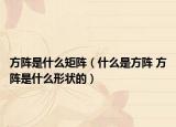 方阵是什么矩阵（什么是方阵 方阵是什么形状的）