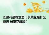 长菜花是啥意思（长菜花是什么意思 长菜花解释）