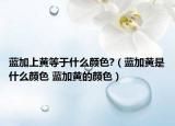 蓝加上黄等于什么颜色?（蓝加黄是什么颜色 蓝加黄的颜色）