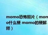 momo恐怖照片（momo什么梗 momo的梗解释）
