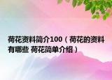 荷花资料简介100（荷花的资料有哪些 荷花简单介绍）
