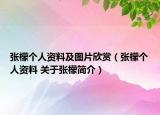 张檬个人资料及图片欣赏（张檬个人资料 关于张檬简介）