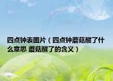 四点钟表图片（四点钟蘑菇醒了什么意思 蘑菇醒了的含义）