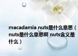 macadamia nuts是什么意思（nuts是什么意思啊 nuts含义是什么）