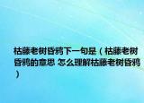 枯藤老树昏鸦下一句是（枯藤老树昏鸦的意思 怎么理解枯藤老树昏鸦）