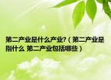 第二产业是什么产业?（第二产业是指什么 第二产业包括哪些）