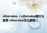 otherwise.（otherwise是什么意思 otherwise怎么解释）