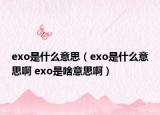 exo是什么意思（exo是什么意思啊 exo是啥意思啊）
