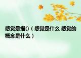 感觉是指()（感觉是什么 感觉的概念是什么）