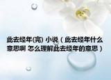 此去经年(完) 小说（此去经年什么意思啊 怎么理解此去经年的意思）
