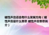 磁性声音适合有什么发展方向（磁性声音是什么意思 磁性声音意思简介）