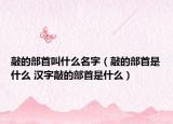 敲的部首叫什么名字（敲的部首是什么 汉字敲的部首是什么）