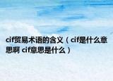 cif贸易术语的含义（cif是什么意思啊 cif意思是什么）