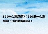 530什么意思啊?（530是什么意思啊 530的网络解释）