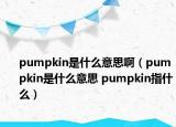 pumpkin是什么意思啊（pumpkin是什么意思 pumpkin指什么）