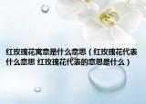 红玫瑰花寓意是什么意思（红玫瑰花代表什么意思 红玫瑰花代表的意思是什么）